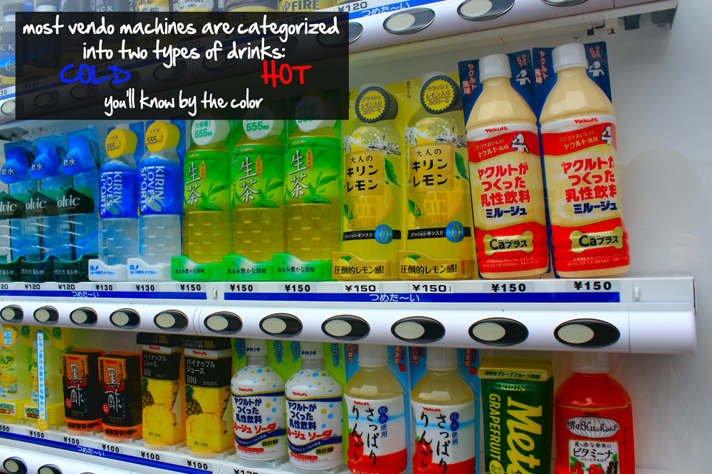 IMG_9146 copy resize